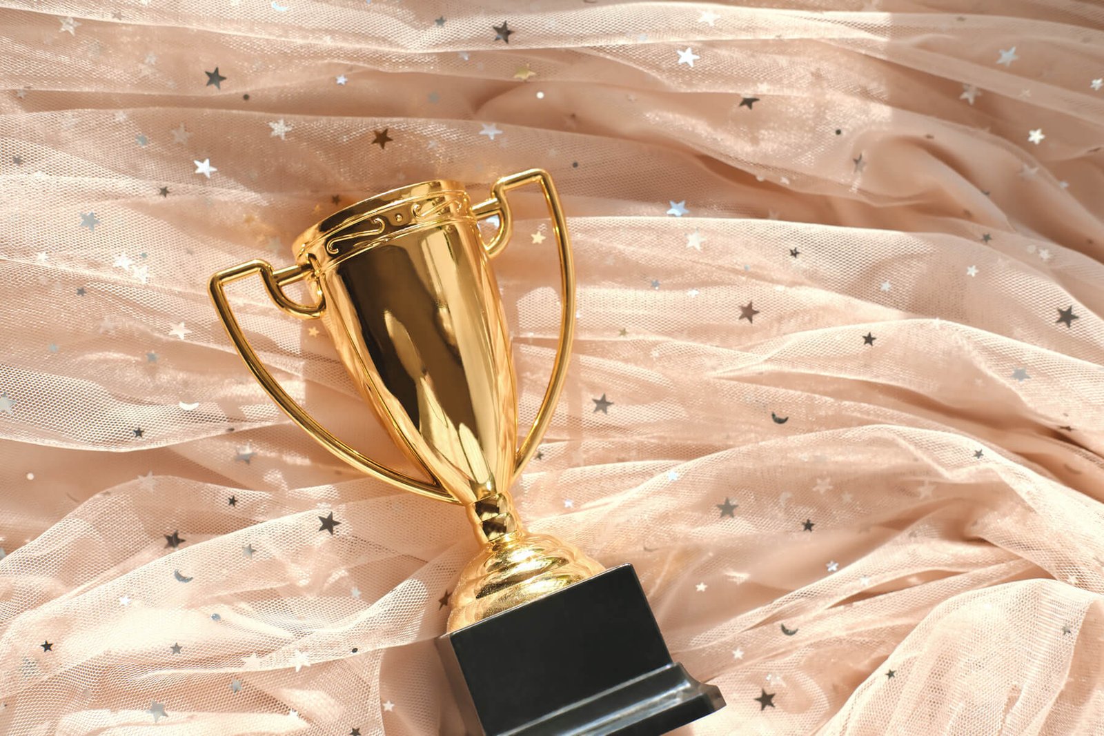 Female Winner First Place Tulle Festive Dress An 2026 01 07 00 19 30 Utc